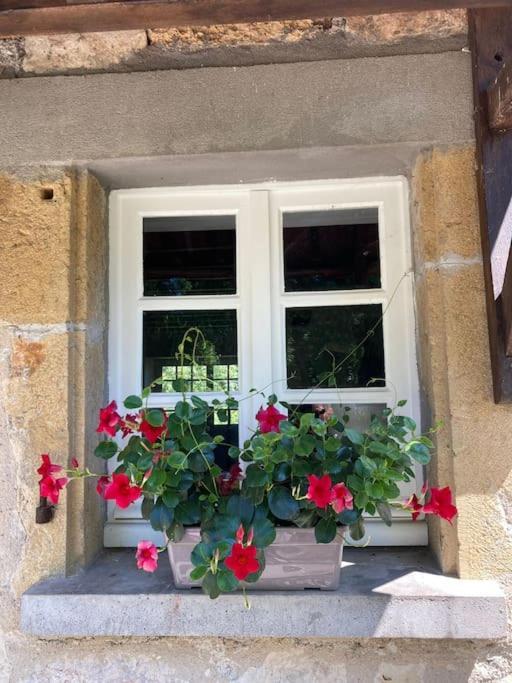 La Poire, Op Landgoed Aan De Dordogne Prudhomat